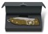 Obrázek Kapesní nůž Victorinox Evoke Alox Limited Edition 2024