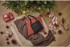 Obrázek Dámská crossbody taška Victorinox Victoria 2.0