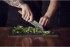 Obrázek Kuchařský nůž Victorinox Santoku Swiss Modern 17 cm