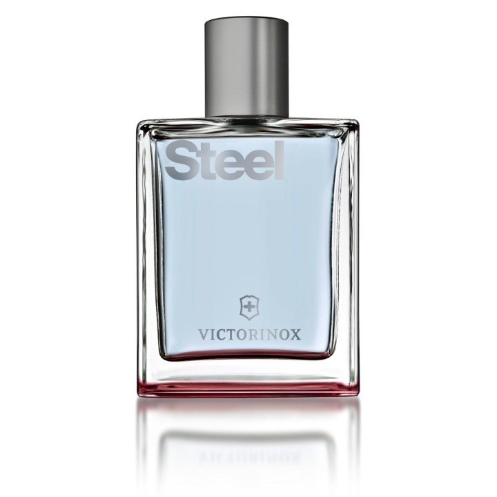 Obrázek Pánská toaletní voda Victorinox Steel 100ml