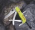 Obrázek Kapesní nůž Victorinox Rescue Tool