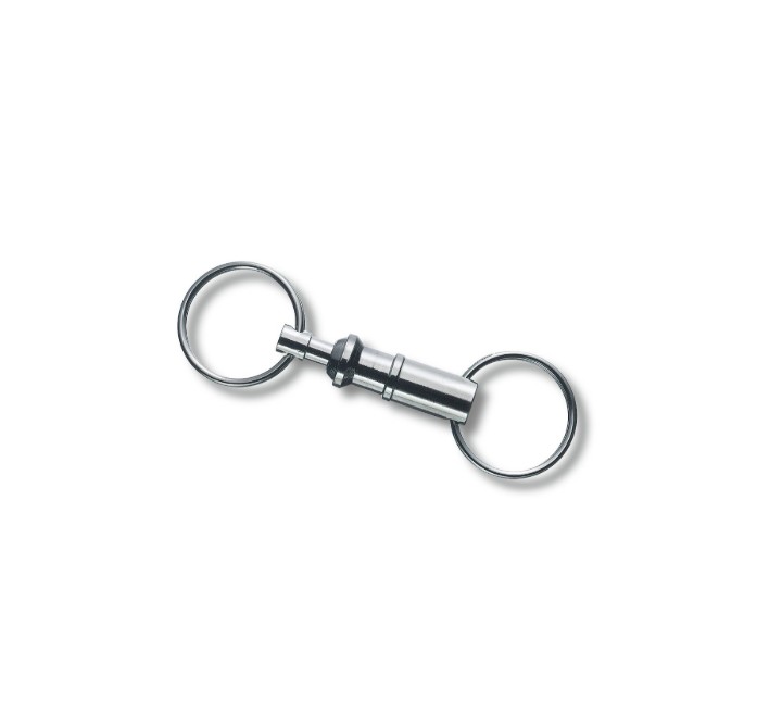 Obrázek Závěska Victorinox