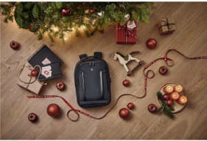 Obrázek Batoh Victorinox Altmont Professional Compact