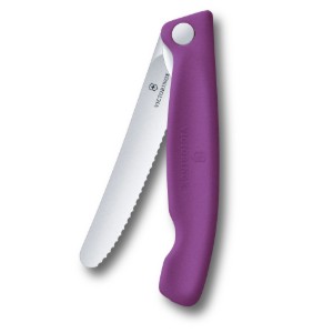 Obrázek Skládací svačinový nůž Victorinox Swiss Classic 11 cm
