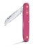 Obrázek Zahradní kapesní nůž Victorinox