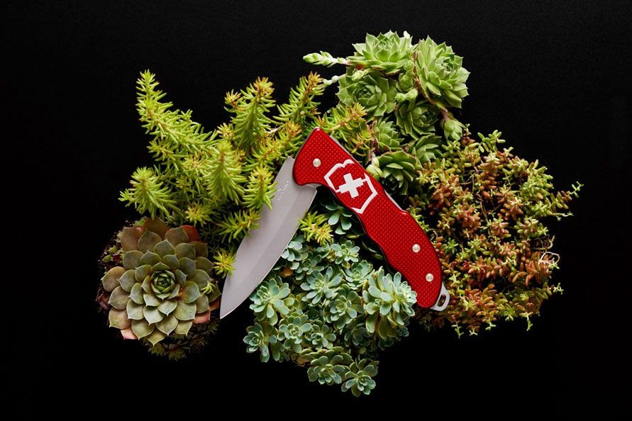 Kapesní nože | Victorinox